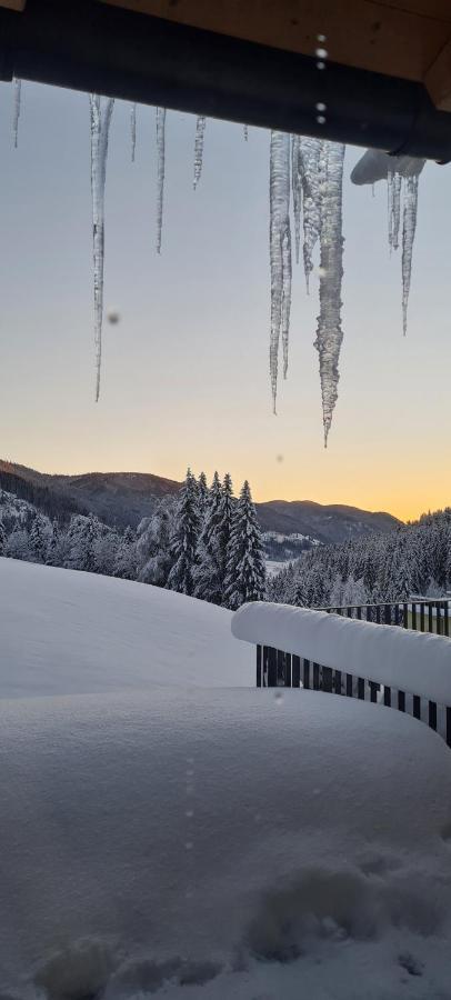 Penthouse Skyview Im Natur-Erlebnispark Bad Kleinkirchheim Patergassen Extérieur photo